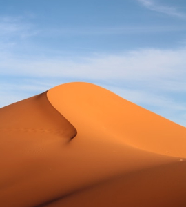 Desert Experiences