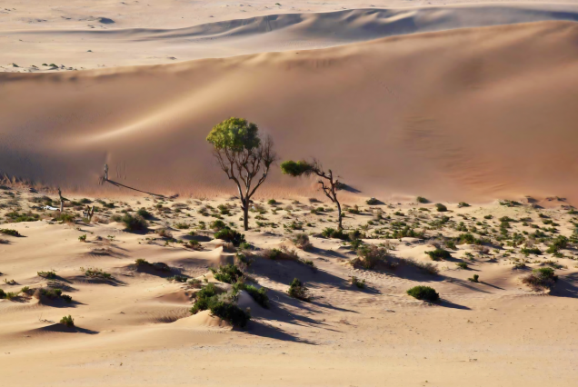 Souss-Massa National Park: Unleash Your Inner Safari Guide
